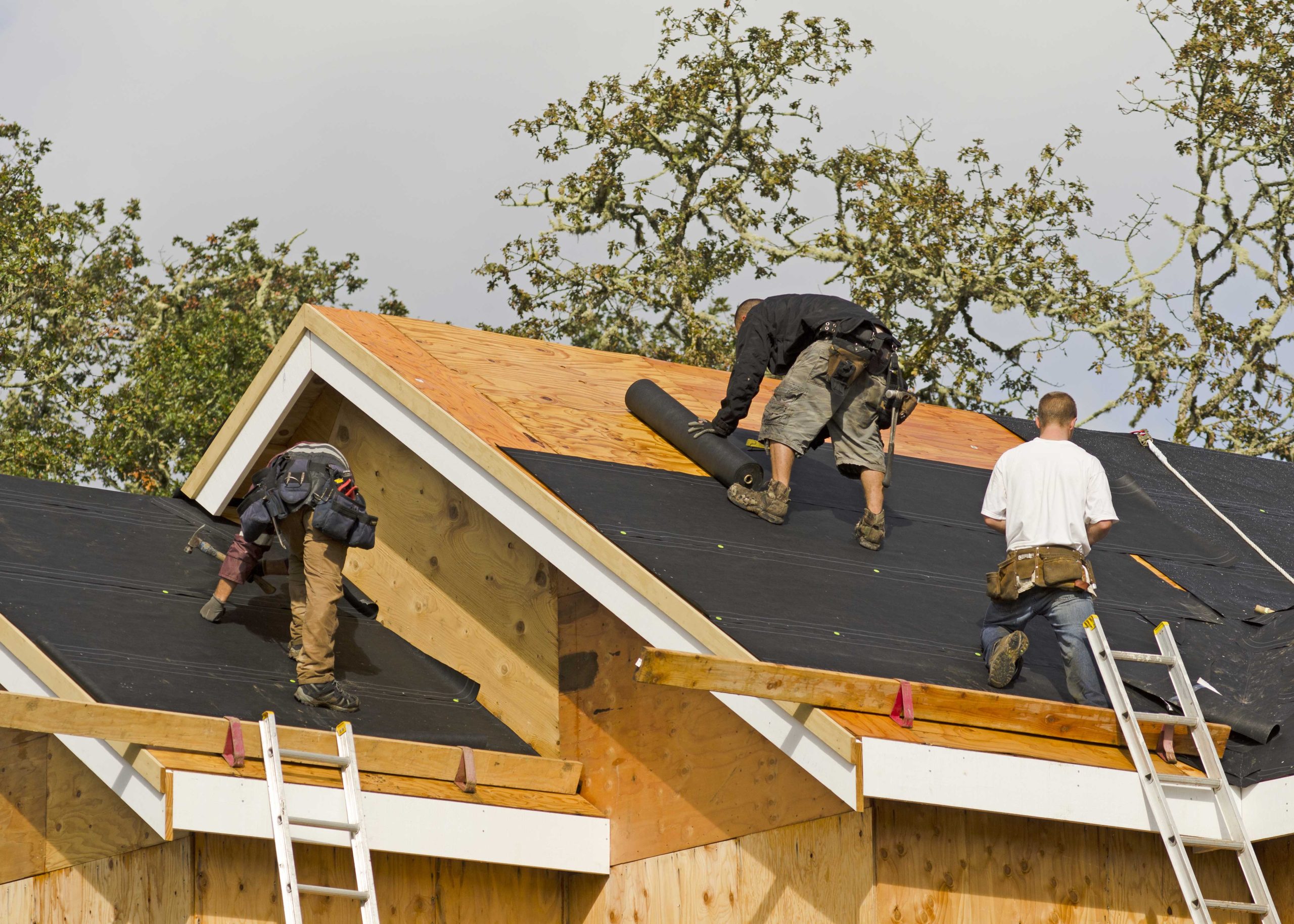 Professional roofers in Winter Haven